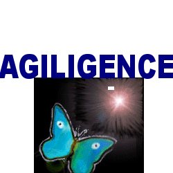 guide webmarketing Agiligence